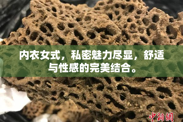 内衣女式，私密魅力尽显，舒适与性感的完美结合。
