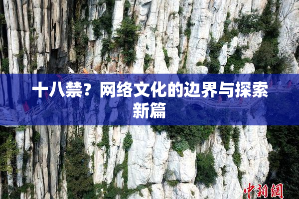 十八禁？网络文化的边界与探索新篇