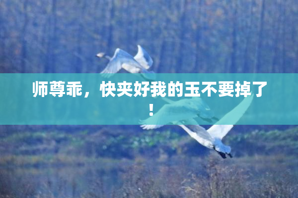 师尊乖，快夹好我的玉不要掉了！