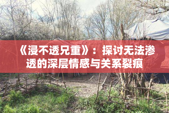 《浸不透兄重》：探讨无法渗透的深层情感与关系裂痕
