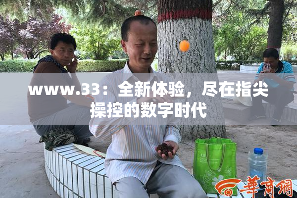 www.33：全新体验，尽在指尖操控的数字时代