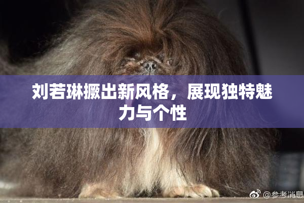 刘若琳撅出新风格，展现独特魅力与个性