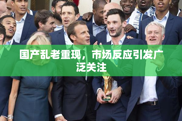 国产乱老重现,市场反应引发广泛关注