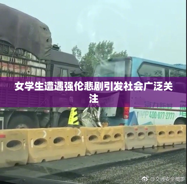 女学生遭遇强伦悲剧引发社会广泛关注
