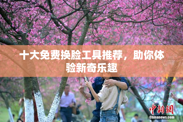 十大免费换脸工具推荐，助你体验新奇乐趣