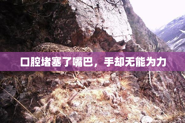 口腔堵塞了嘴巴，手却无能为力