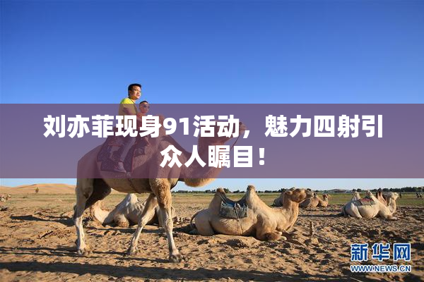 刘亦菲现身91活动，魅力四射引众人瞩目！