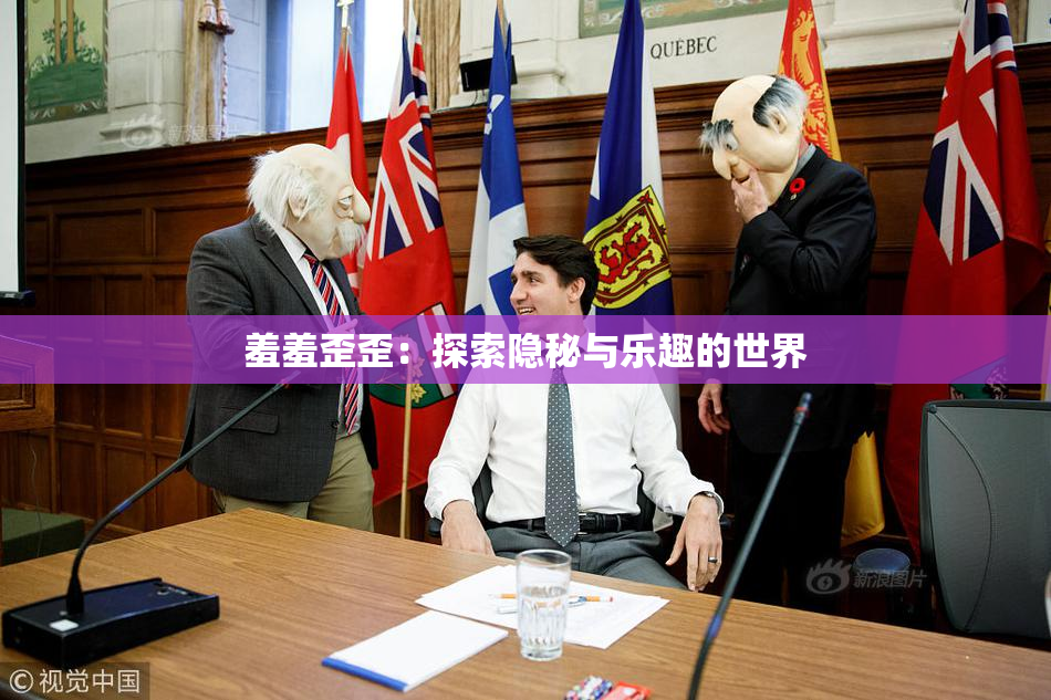 羞羞歪歪：探索隐秘与乐趣的世界