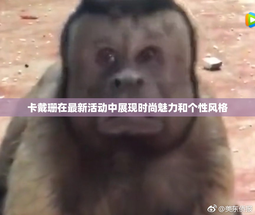 卡戴珊在最新活动中展现时尚魅力和个性风格