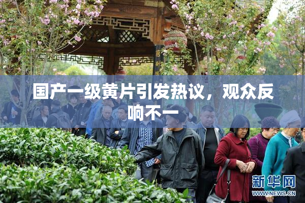国产一级黄片引发热议，观众反响不一