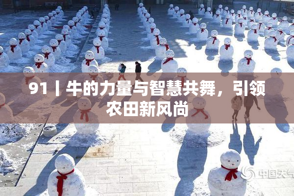 91丨牛的力量与智慧共舞，引领农田新风尚