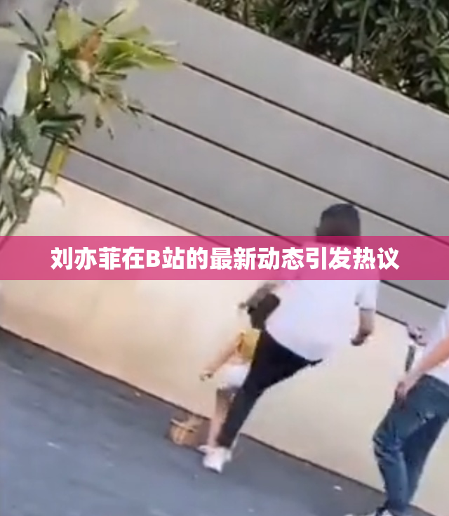 刘亦菲在B站的最新动态引发热议
