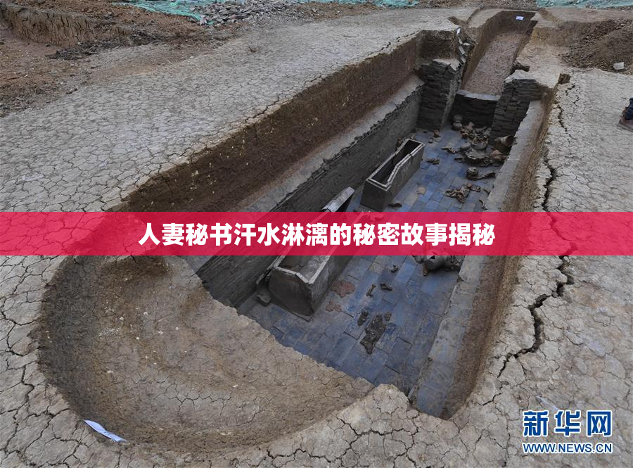 人妻秘书汗水淋漓的秘密故事揭秘