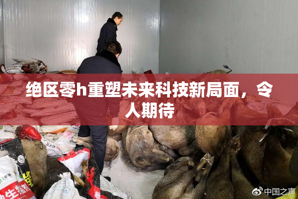 绝区零h重塑未来科技新局面，令人期待