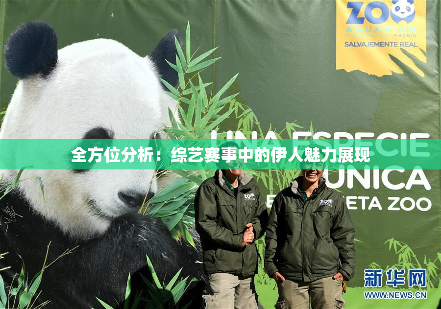 全方位分析：综艺赛事中的伊人魅力展现