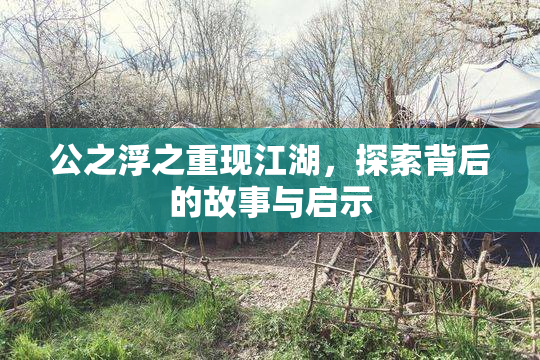 公之浮之重现江湖，探索背后的故事与启示