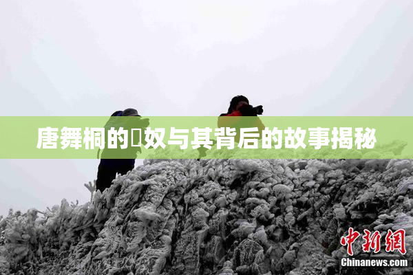 唐舞桐的婬奴与其背后的故事揭秘