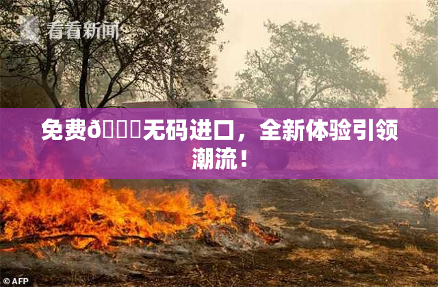 免费🔞无码进口，全新体验引领潮流！