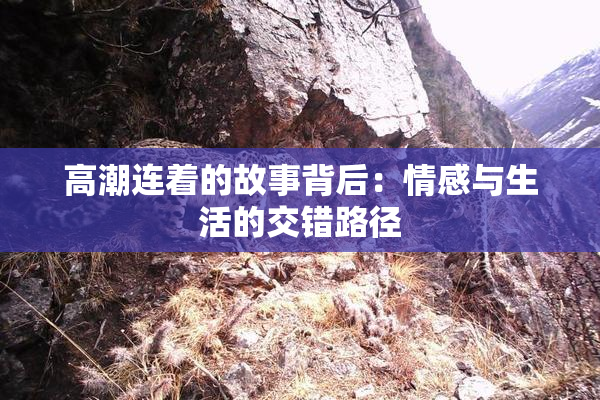 高潮连着的故事背后：情感与生活的交错路径