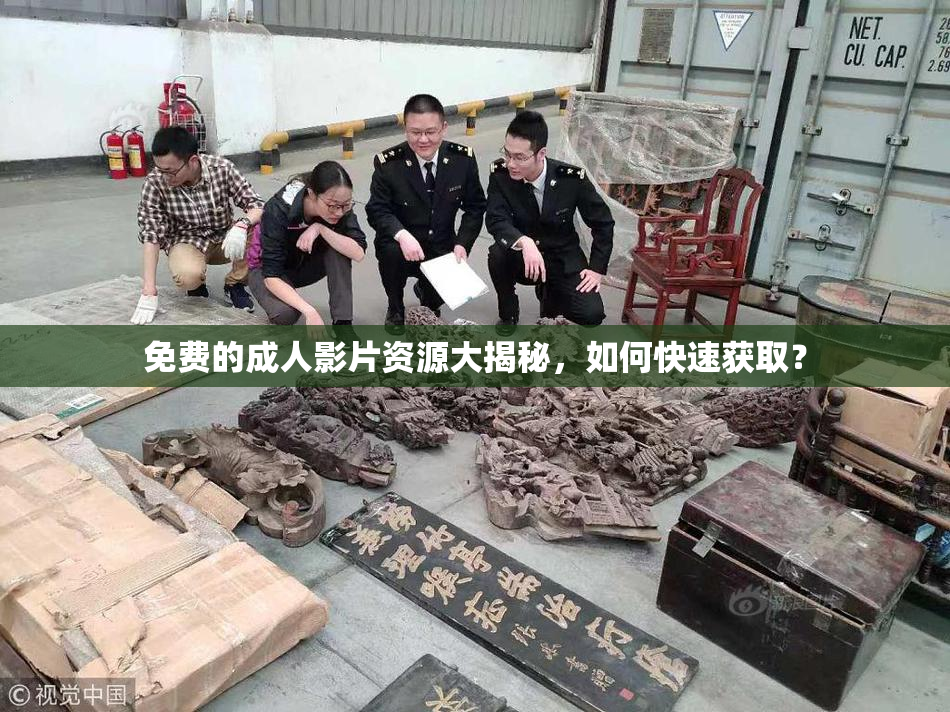 免费的成人影片资源大揭秘，如何快速获取？
