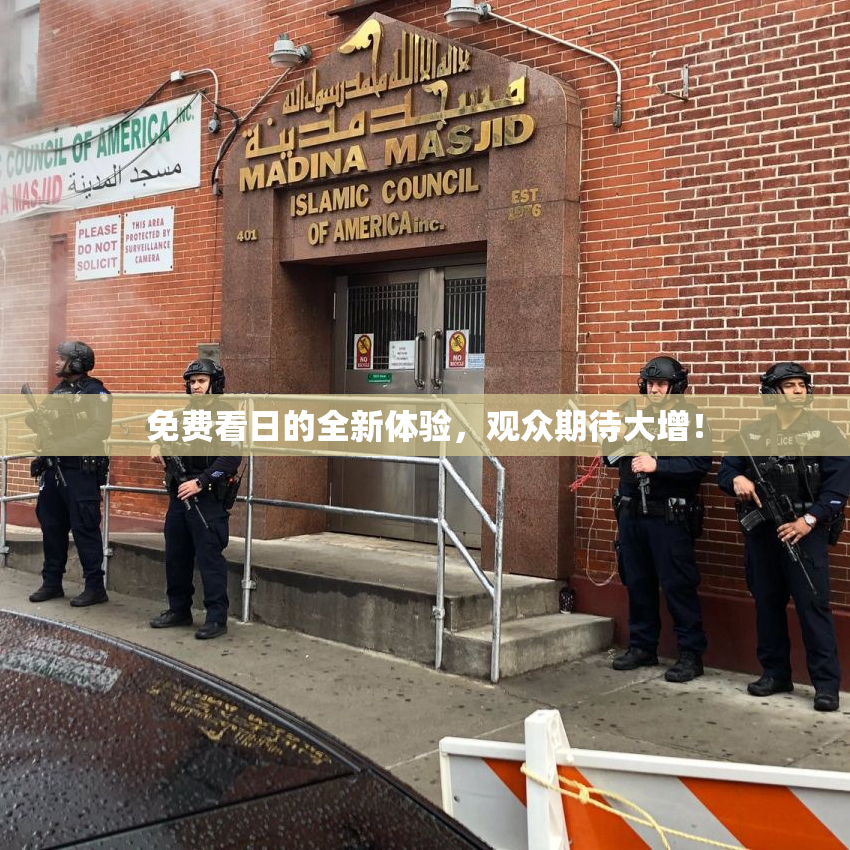 免费看日的全新体验，观众期待大增！