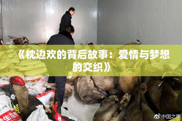 《枕边欢的背后故事:爱情与梦想的交织》