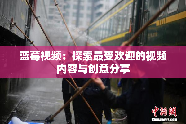蓝莓视频：探索最受欢迎的视频内容与创意分享
