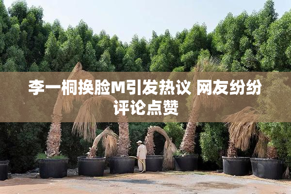 李一桐换脸M引发热议 网友纷纷评论点赞