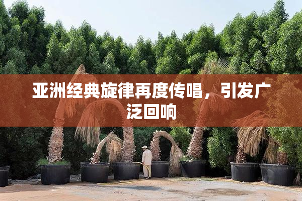 亚洲经典旋律再度传唱，引发广泛回响
