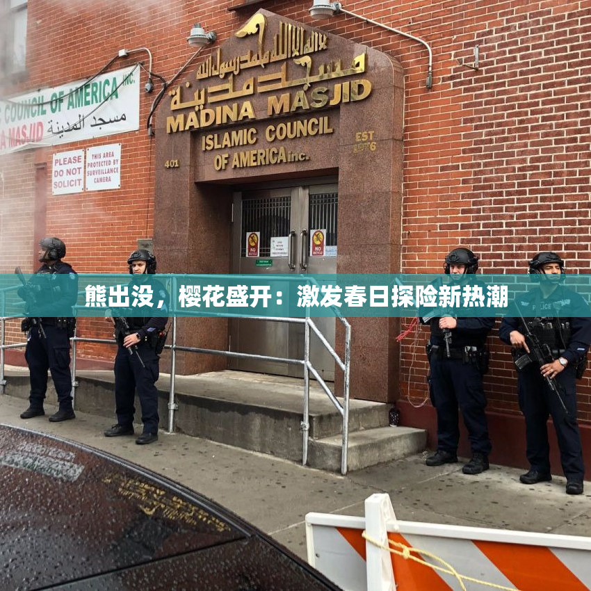 熊出没，樱花盛开：激发春日探险新热潮