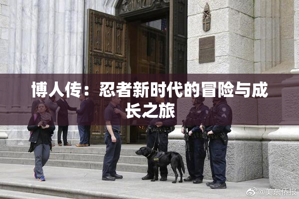 博人传：忍者新时代的冒险与成长之旅