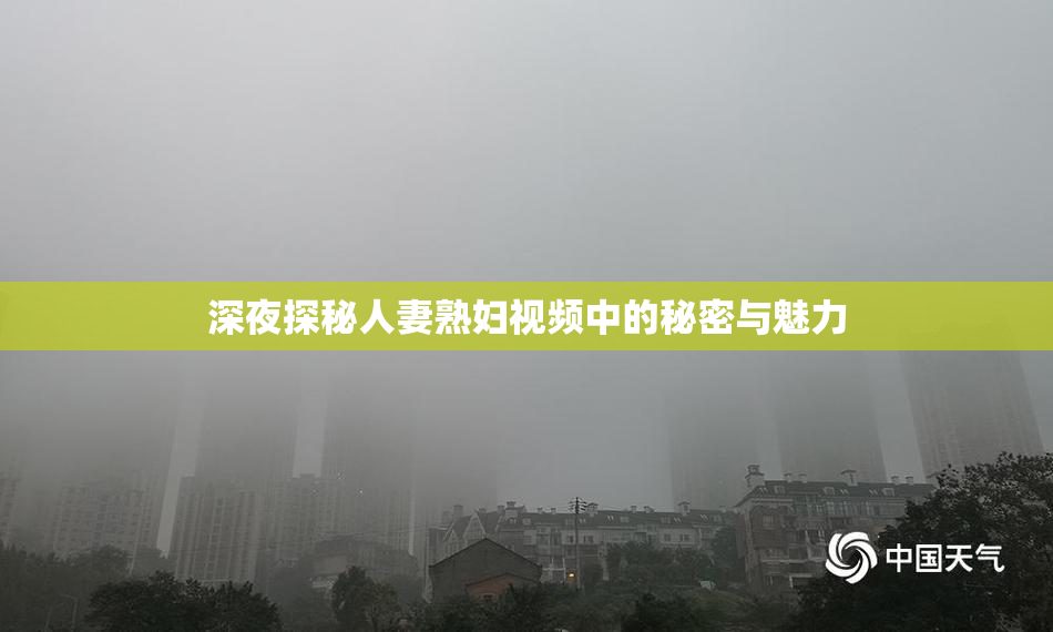 深夜探秘人妻熟妇视频中的秘密与魅力