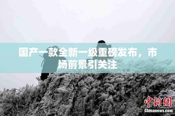 国产一款全新一级重磅发布，市场前景引关注