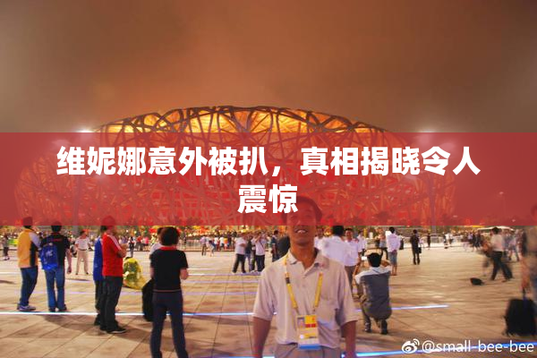 维妮娜意外被扒，真相揭晓令人震惊