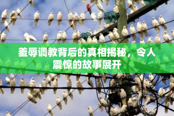 羞辱调教背后的真相揭秘，令人震惊的故事展开