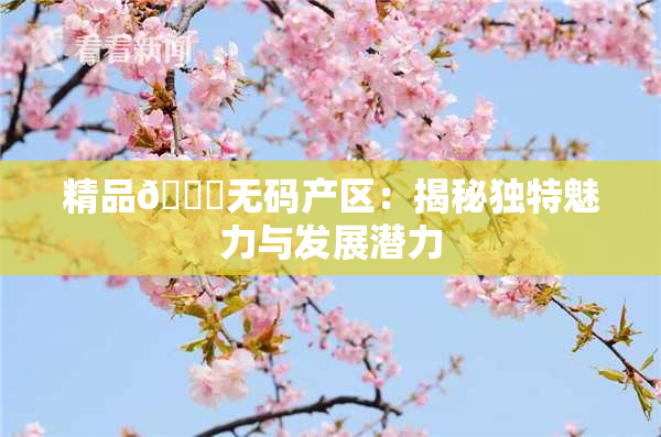 精品🌃无码产区：揭秘独特魅力与发展潜力