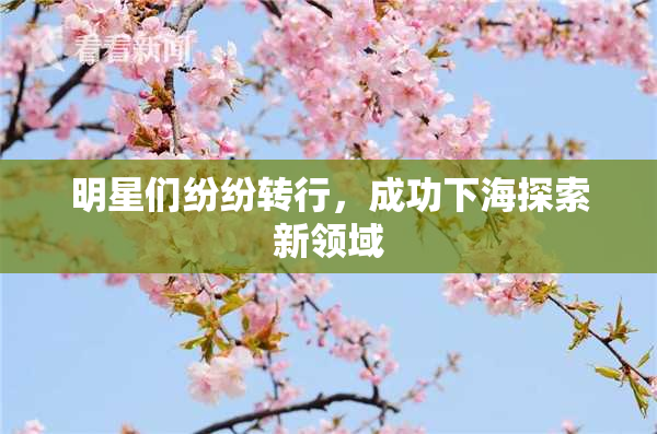 明星们纷纷转行，成功下海探索新领域
