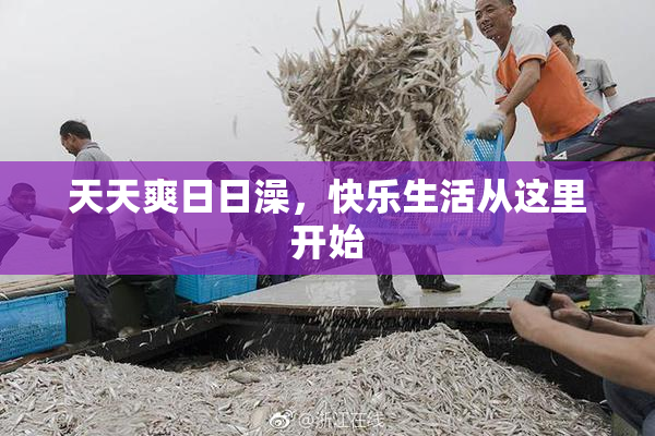 天天爽日日澡，快乐生活从这里开始