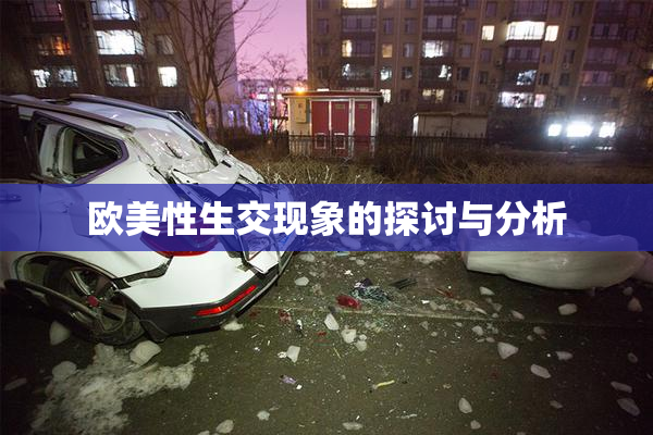 欧美性生交现象的探讨与分析