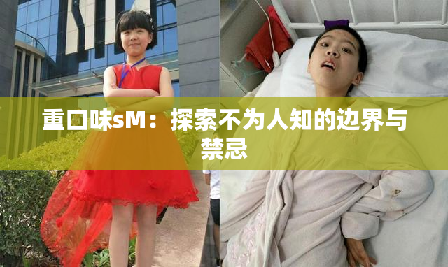 重口味sM：探索不为人知的边界与禁忌
