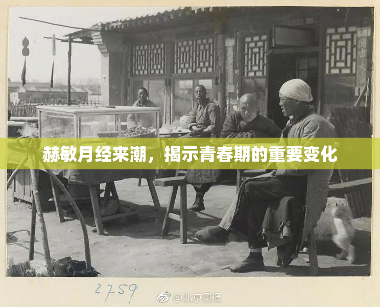赫敏月经来潮，揭示青春期的重要变化