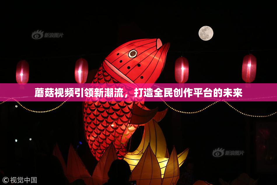 蘑菇视频引领新潮流，打造全民创作平台的未来
