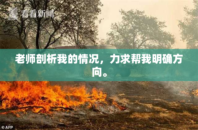 老师剖析我的情况，力求帮我明确方向。