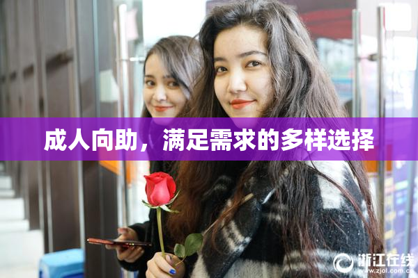 成人向助，满足需求的多样选择