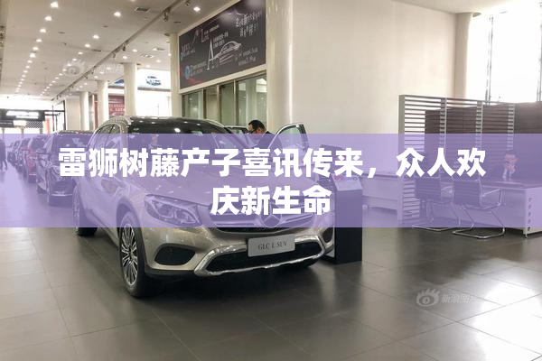 雷狮树藤产子喜讯传来，众人欢庆新生命