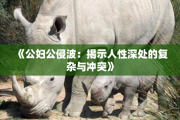 《公妇公侵波：揭示人性深处的复杂与冲突》