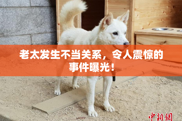 老太发生不当关系，令人震惊的事件曝光！