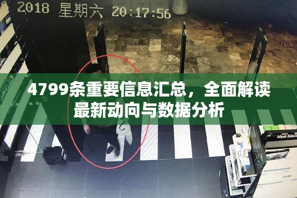 4799条重要信息汇总，全面解读最新动向与数据分析