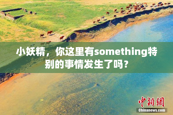 小妖精，你这里有something特别的事情发生了吗？