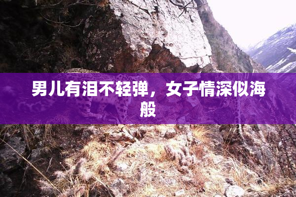 男儿有泪不轻弹，女子情深似海般
